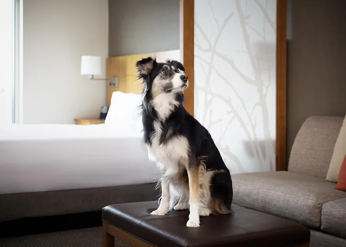 Hyatt Place Denver Downtown