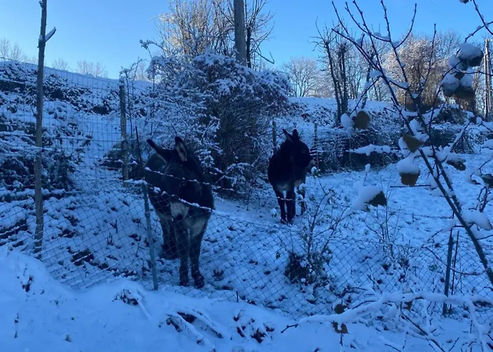 Suite romantique dans centre de bien-être Au chant de l'eau