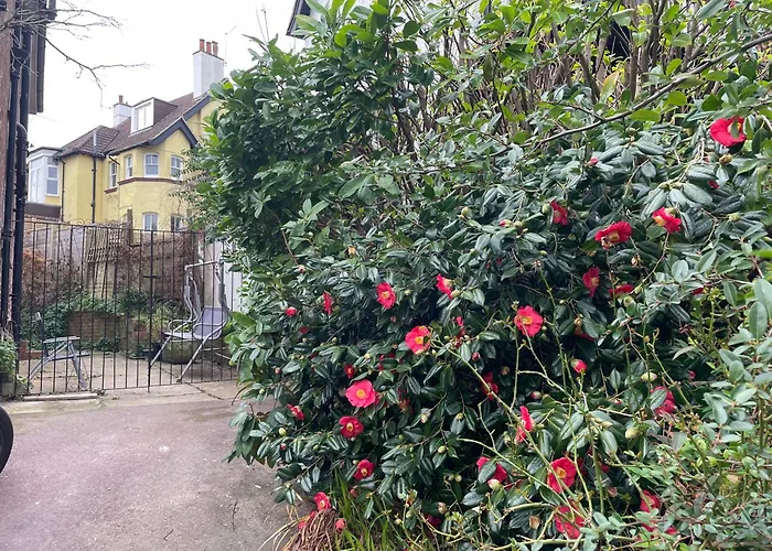 Livadia House At St Leonards On Sea