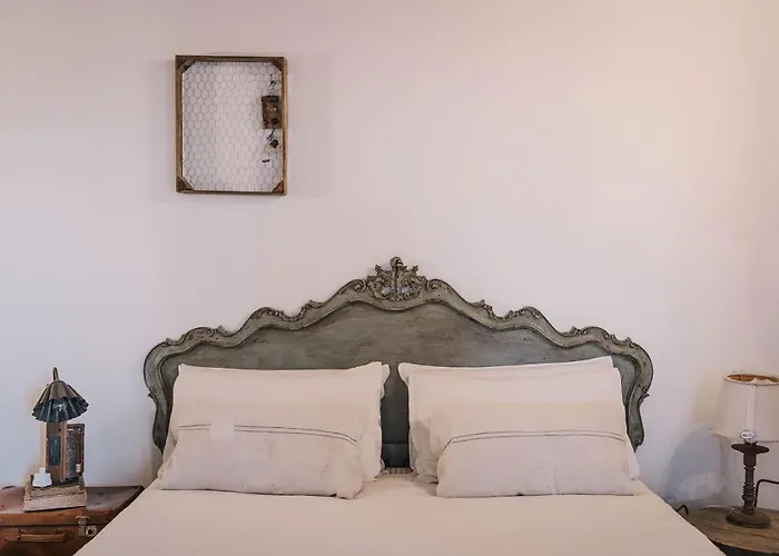 B&B Giarola 25.2