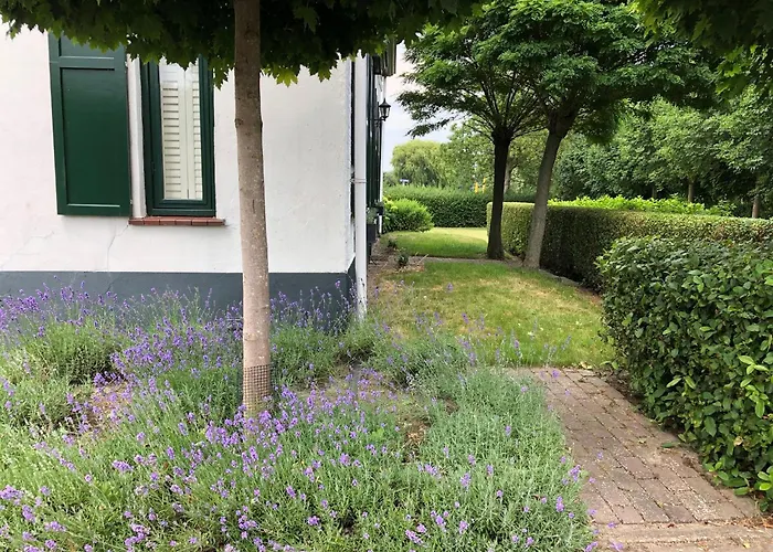 B&B De Tol