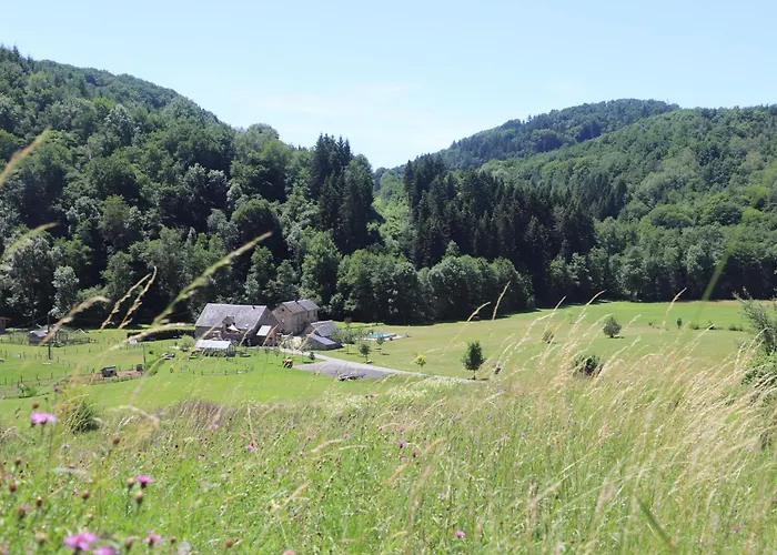 Moulin Des Borderies