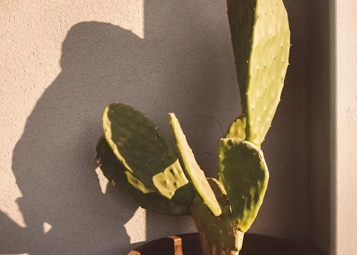 Antica Dimora dei Gelsi