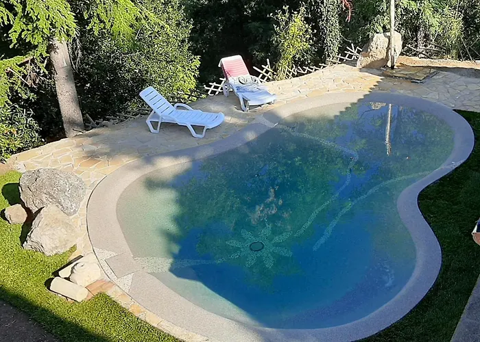 B&B Cal Torello