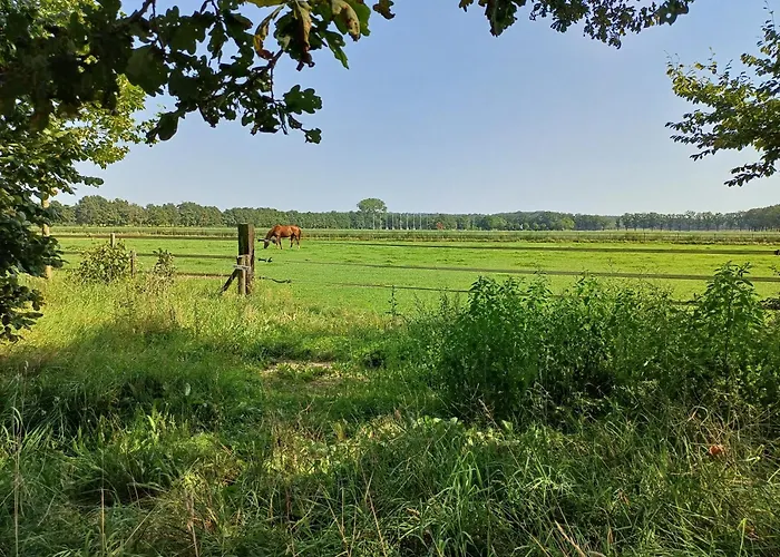 B&B Het mooie uitzicht