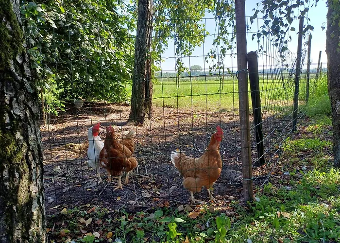 B&B Het mooie uitzicht