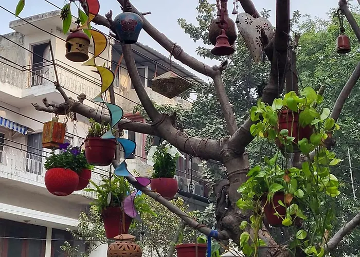Delhi Bed And Breakfast