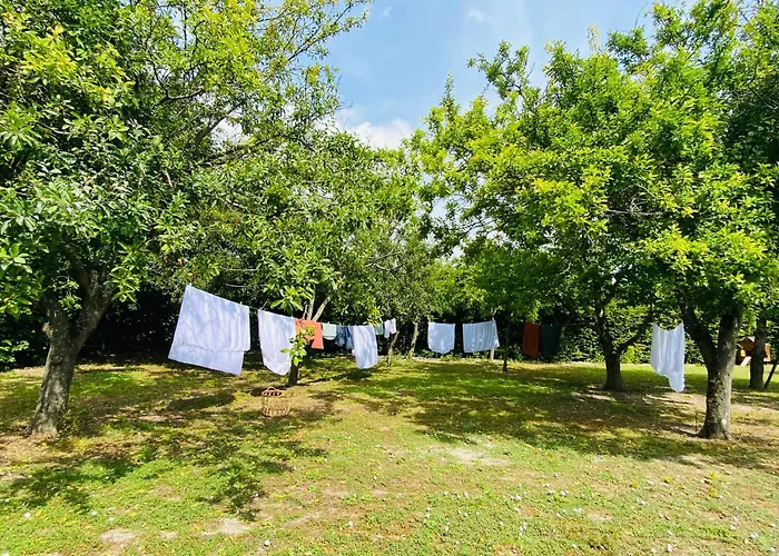 L'Ecrin De Verdure