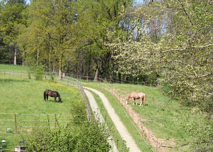 B&B La Casa Di Campagna
