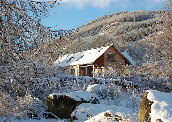 The Steading B&B