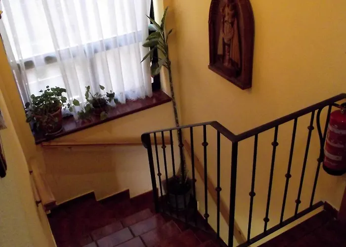 Pensión El Otero Guadalajara