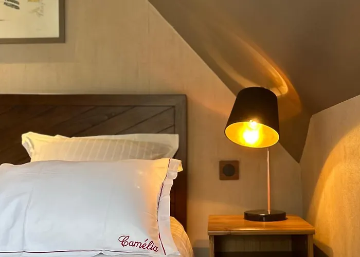 Maison D'Hotes Camelia