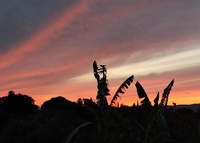Finca Sueno De Vida