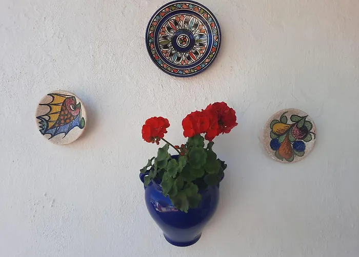 Finca Sueno De Vida