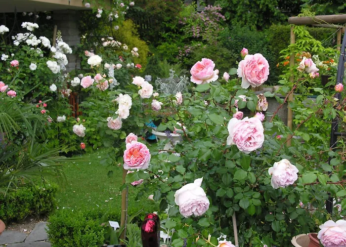 Im Roeseligarten