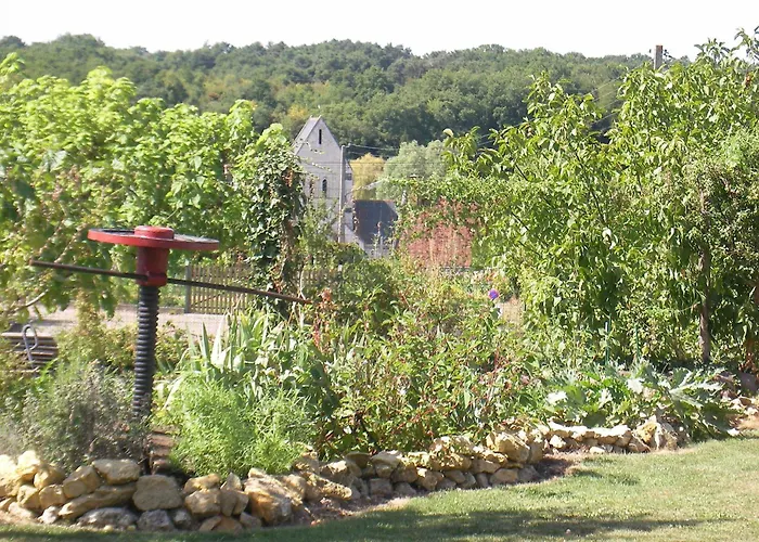 Chambres d'Hôtes La Vallée des Vignes