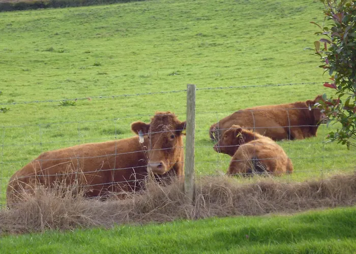 Whidlecombe Farm