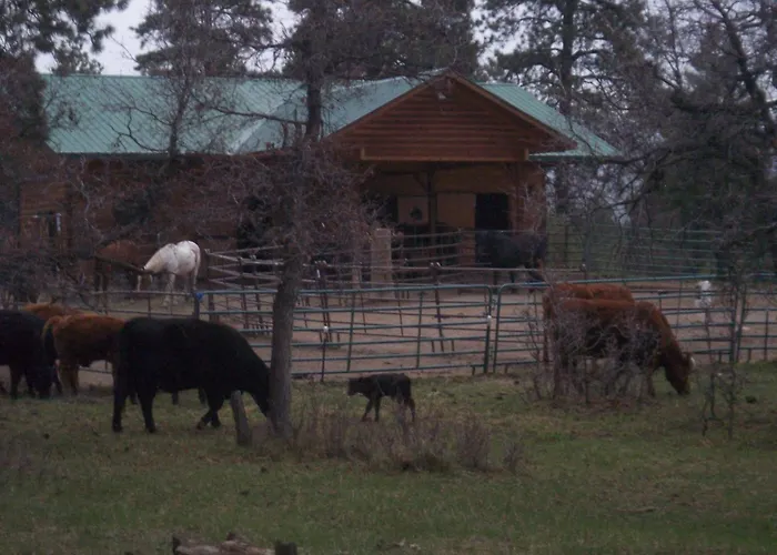 Elktrace Bed And Breakfast