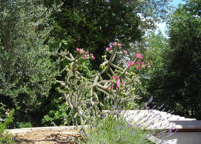 La villa Sam