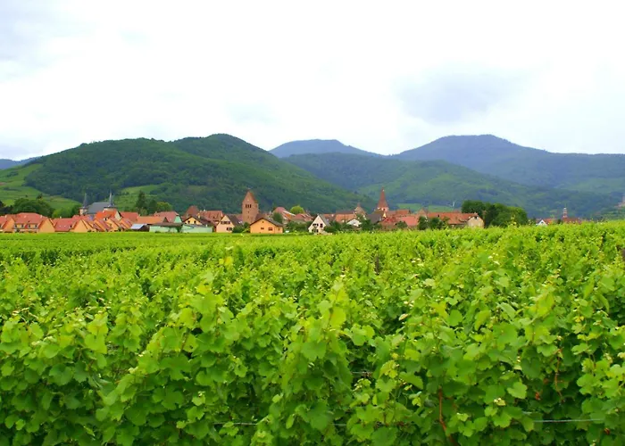 Chambre d'Hotes Le Vogelgarten