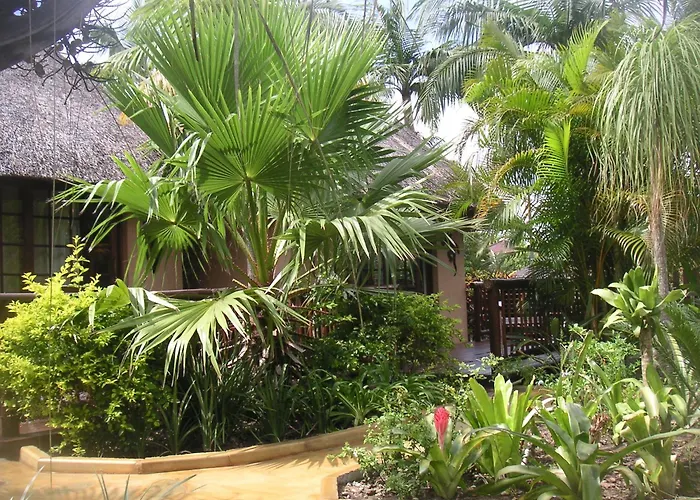 Afrikhaya Guest House