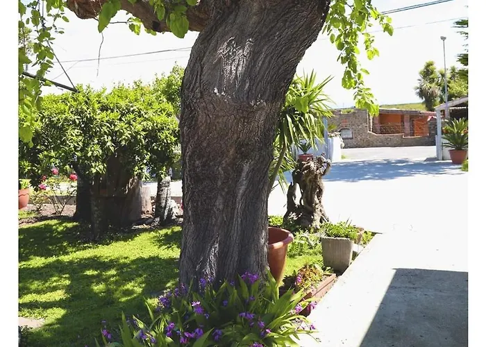 B&b Cilento Paestum