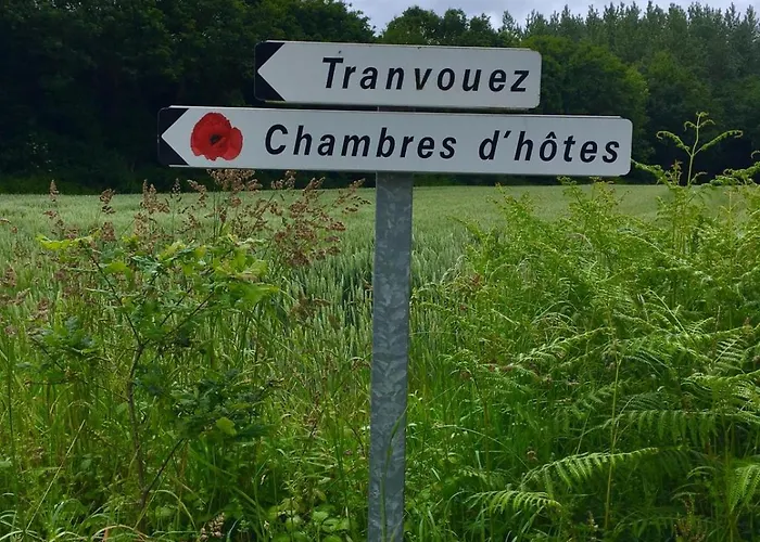 Les Coquelicots