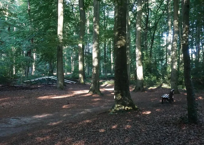 B&B aan het bos
