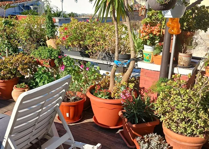 La Terrazza Ai Miracoli