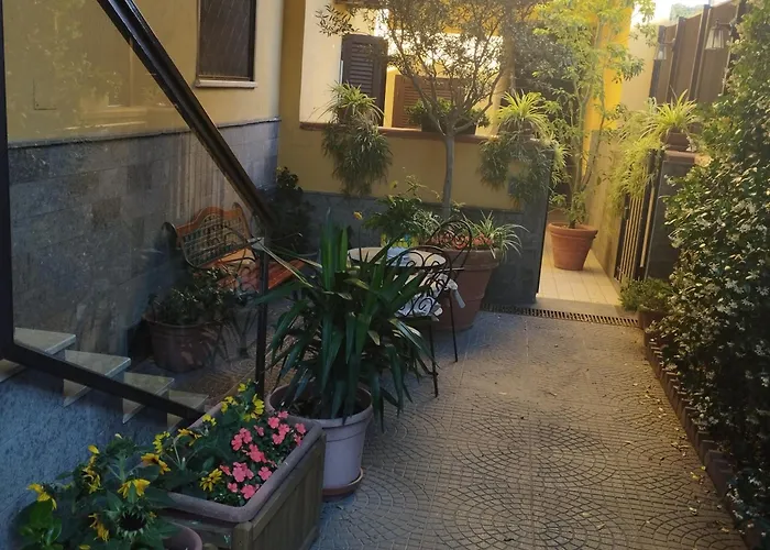 Home To Fly Napoli