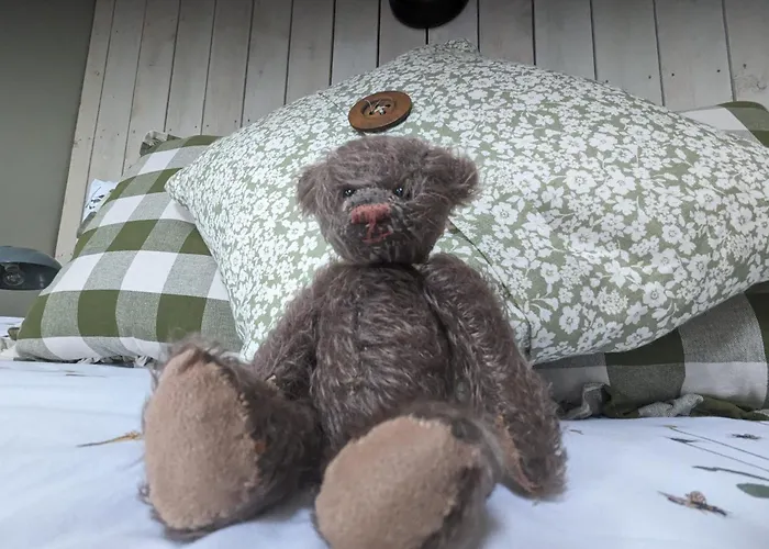 The Dorm Bed And Breakfast
