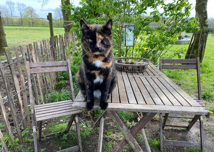 Cosy Farm Bnb - Caravans - Dogs Welcome - 5 Min From E47