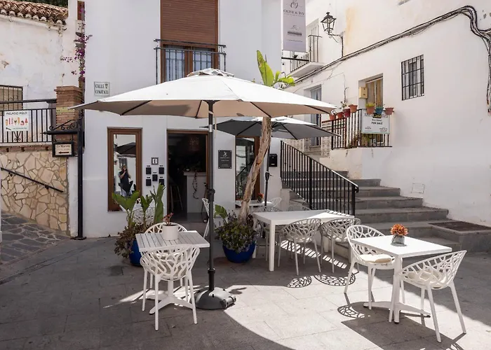 Olive & Ivy Guest House
