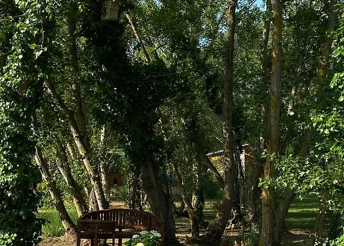 Le Parc - Suite climatisée