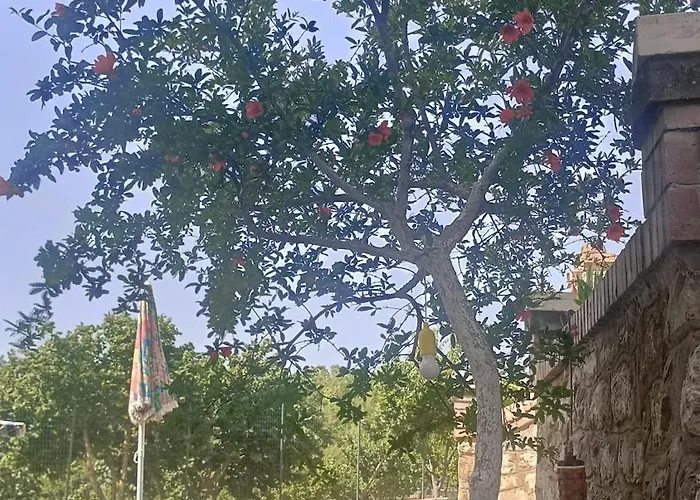 Il Sottobosco