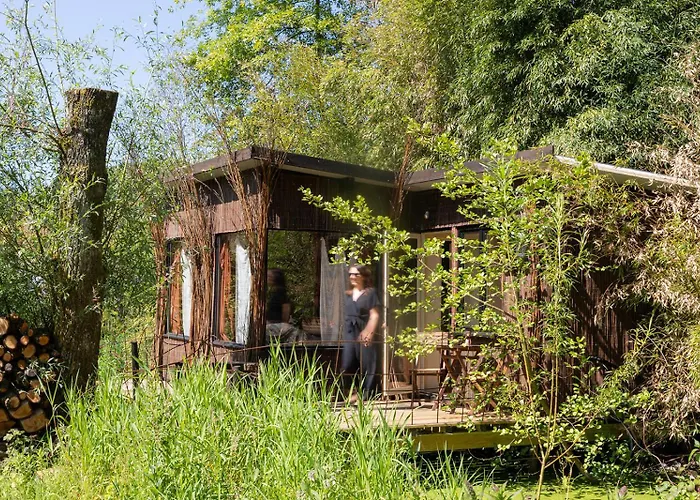 Les Cabanes Des Marais