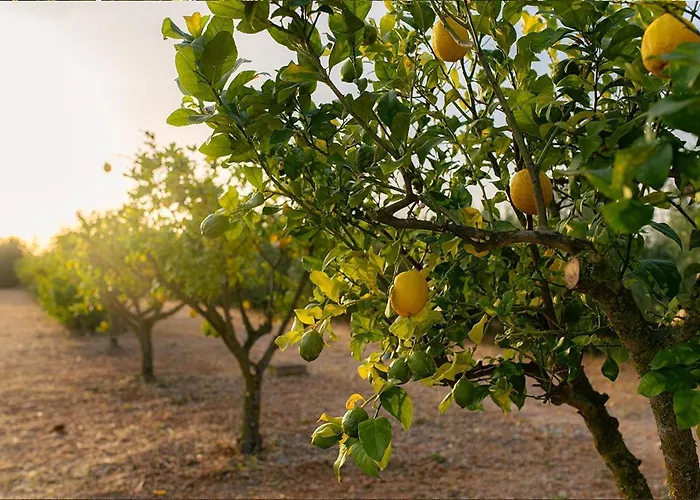 La Farm Baleares (Adults Only)
