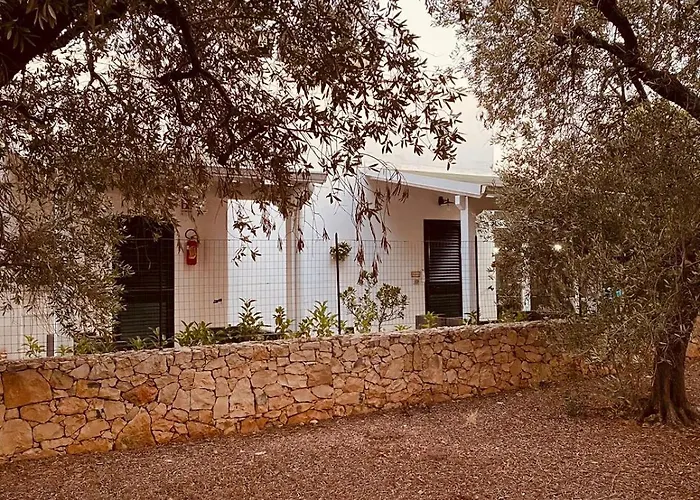 B&B Quasimare