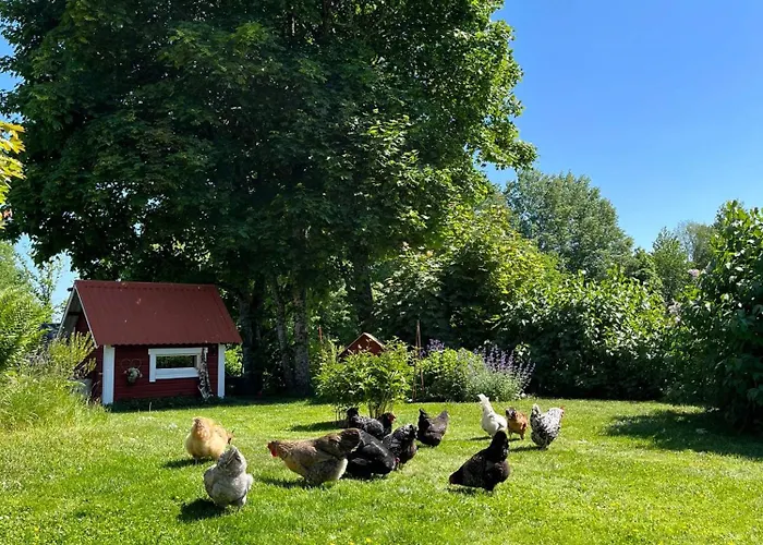 Lavendeltorpet