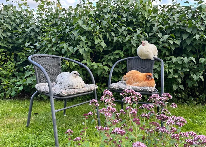 Lavendeltorpet