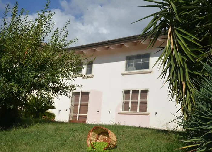 B&B Macchia d'Olmo
