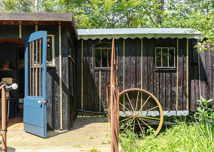 Les Cabanes Des Marais