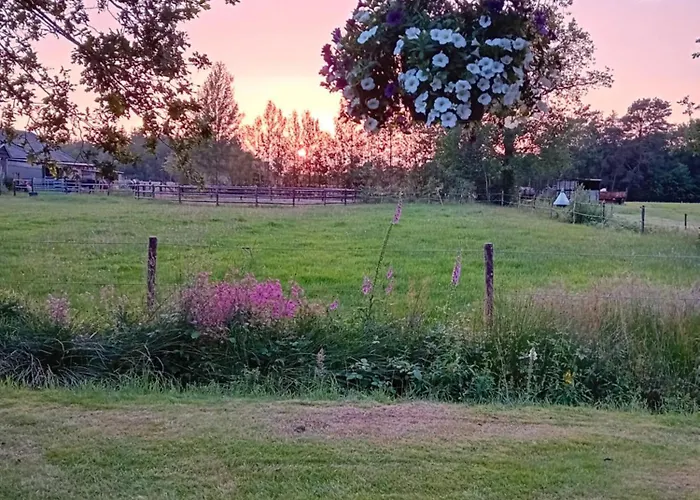 B&B Stripsein