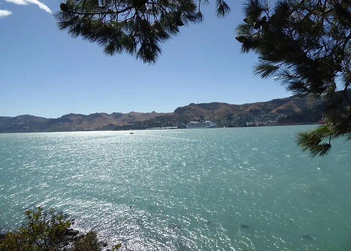 Waipapa - The Heart Of The Harbour