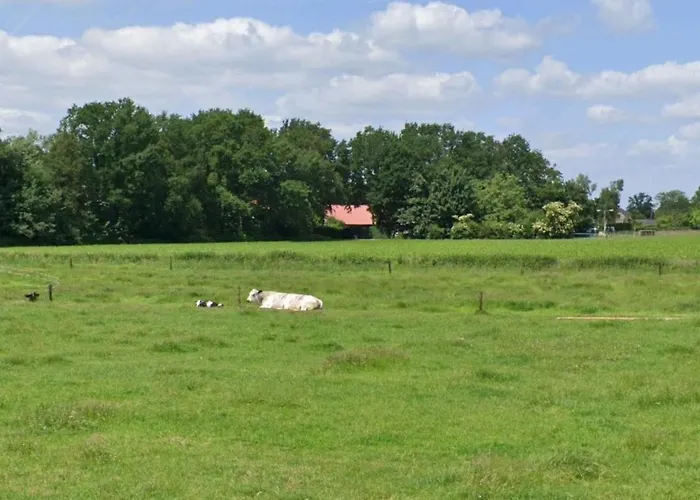 Bed&Breakfast Boekel