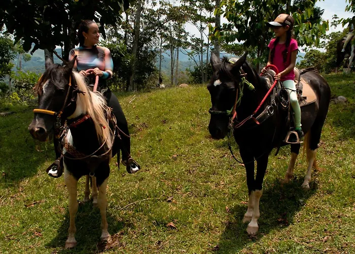 Hospedaje Riobosque San Carlos