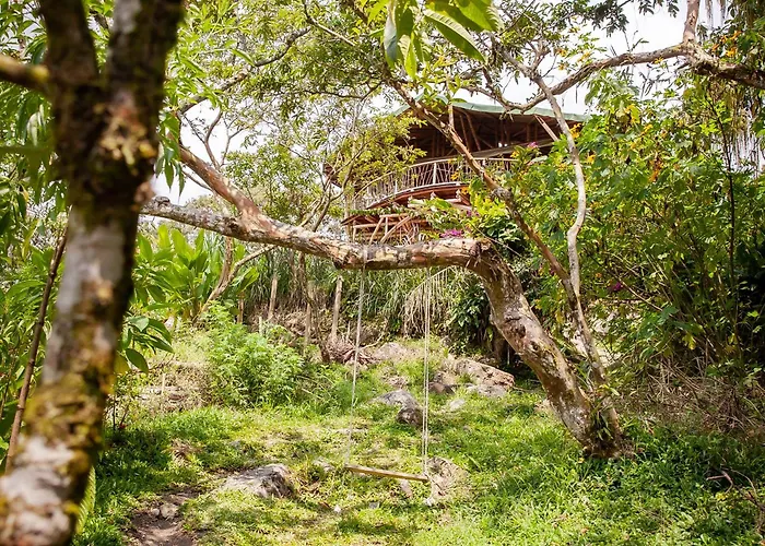 Ecofinca Fuente Alegre