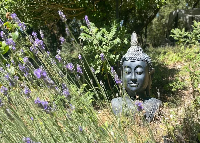 La Vie Est Belle En Provence