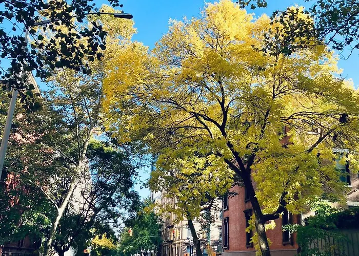 Harlem Grand