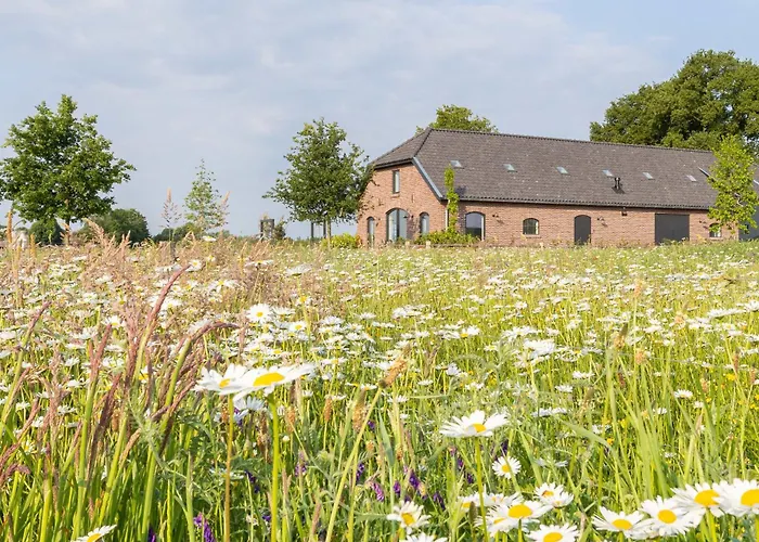 B&B Mijllerzicht